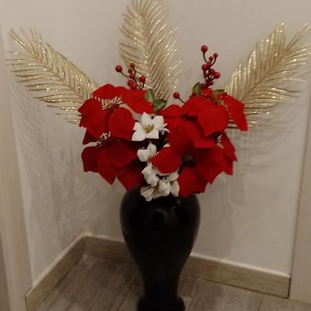 Appartamento Via Tunisi, Rinnovato!!! トリノ エクステリア 写真