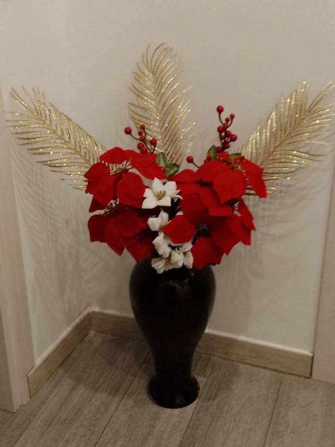 Appartamento Via Tunisi, Rinnovato!!! トリノ エクステリア 写真